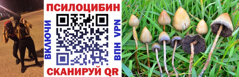 Галлюциногенные грибы Magic Shrooms Темников